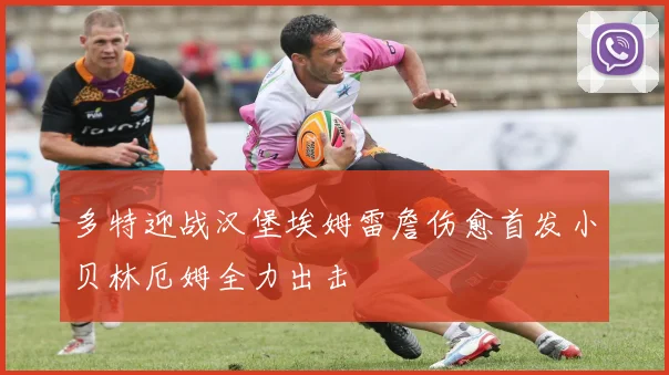 多特迎战汉堡埃姆雷詹伤愈首发小贝林厄姆全力出击